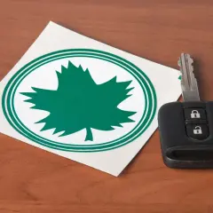 Zielony listek w okręgu obok kluczyka samochodowego.