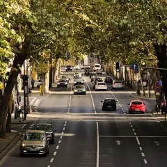 Ulica z drzewami po bokach, ruch samochodowy. Kiedy należy zachować szczególną ostrożność? W takich miejscach, gdzie widoczność jest ograniczona.