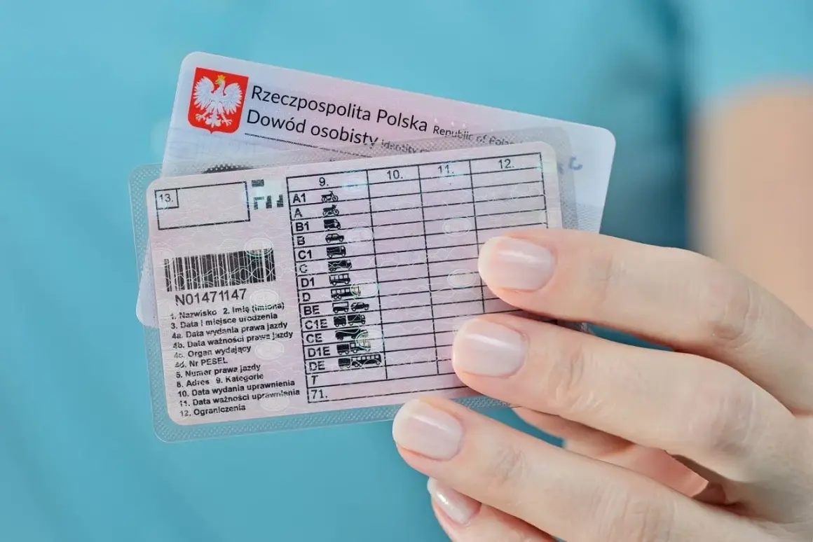 Tabela błędów prawo jazdy z kategoriami pojazdów. Widoczny numer prawa jazdy i dane kierowcy.